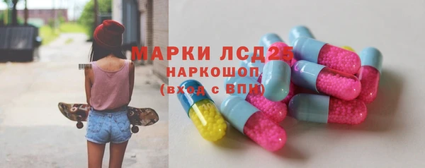 ECSTASY Бородино