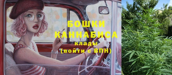 ECSTASY Бородино
