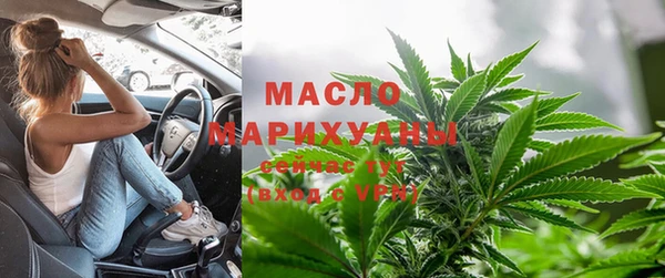 ECSTASY Бородино