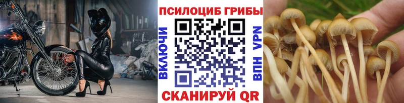 Псилоцибиновые грибы Magic Shrooms  наркота  сайты даркнета какой сайт  Новошахтинск 